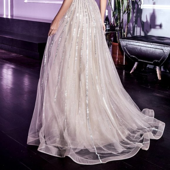NWT Platinum Prom party evening FORMAL long A-LINE EMBELLISHED TULLE GOWN CD940 - Picture 6 of 7